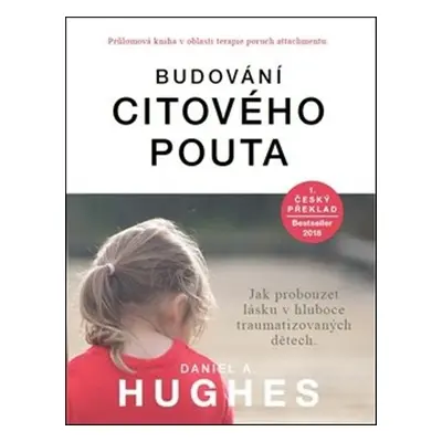 Budování citového pouta - Daniel A. Hughes