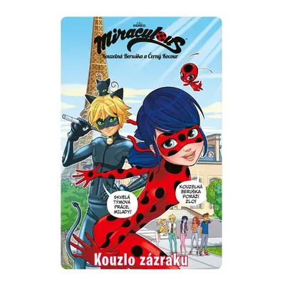 Kouzelná Beruška a Černý Kocour - Komiksové příběhy 1 - Kolektiv