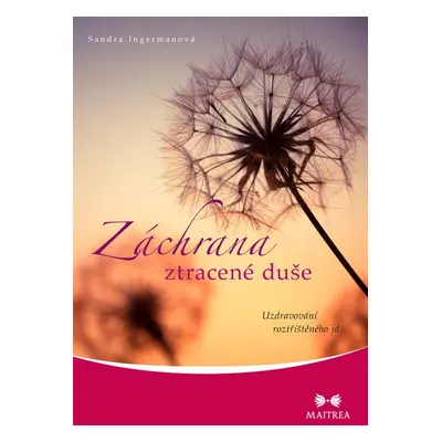 Záchrana ztracené duše - Sandra Ingerman