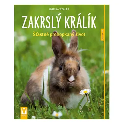 Zakrslý králík - Monika Wegler