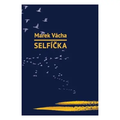 Selfíčka - Marek Vácha