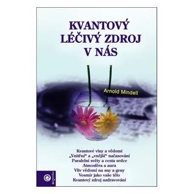 Kvantový léčivý zdroj v nás - Arnold Mindell