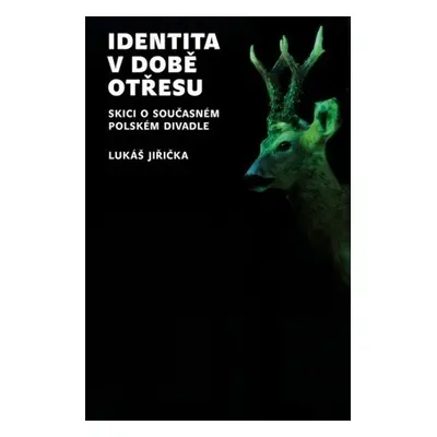 Identita v době otřesu - Lukáš Jiřička