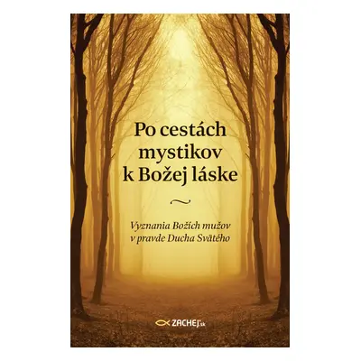 Po cestách mystikov k Božej láske - Kolektív autorov