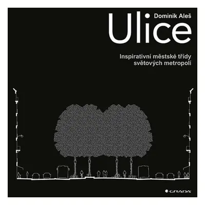 Ulice - Dominik Aleš