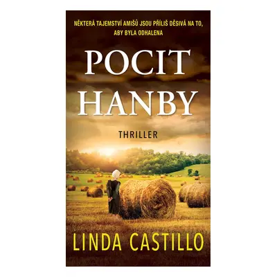 Pocit hanby - Linda Castillo