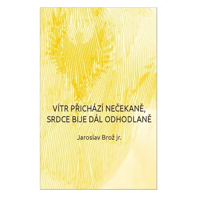 Vítr přichází nečekaně, srdce bije dál odhodlaně - Jaroslav Brož