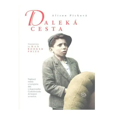 Daleká cesta - Alison Picková