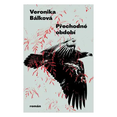 Přechodné období - Veronika Bálková