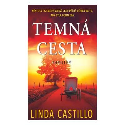 Temná cesta - Linda Castillo