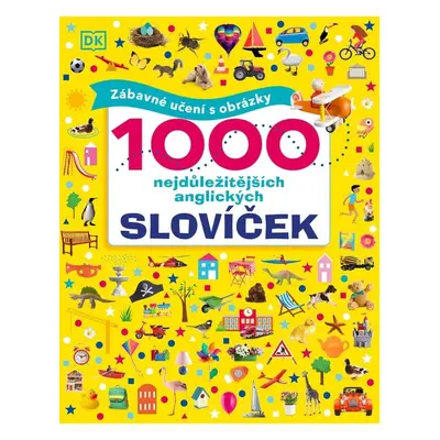 1000 nejdůležitějších anglických slovíček - Dawn Sirett