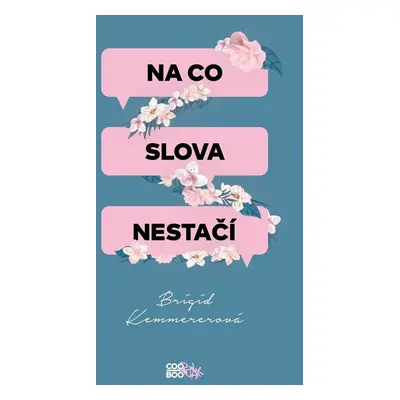 Na co slova nestačí - Brigid Kemmererová