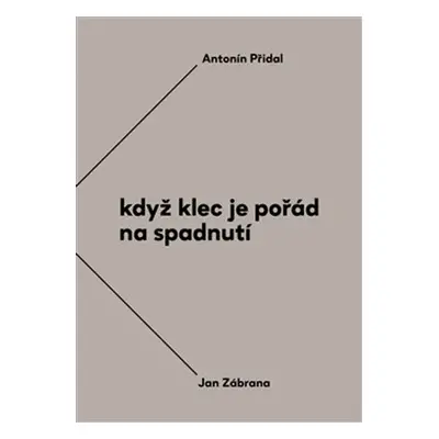 Když klec je pořád na spadnutí - Jan Zábrana