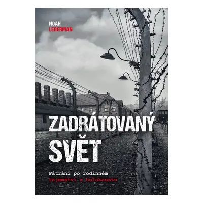 Zadrátovaný svět - Noah Lederman