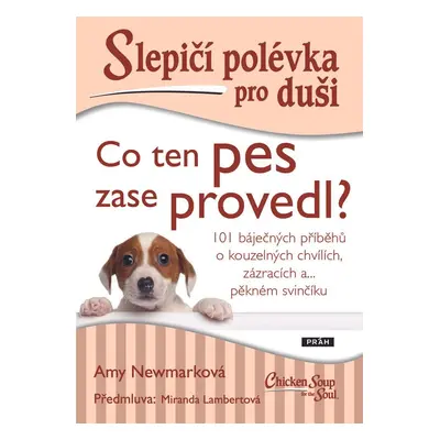 Slepičí polévka pro duši: Co ten pes zase provedl? - Amy Newmark