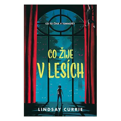 Co žije v lesích - Lindsay Currie