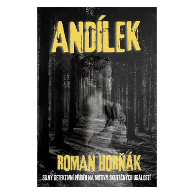 Andílek - Roman Horňák