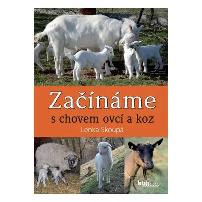 Začínáme s chovem ovcí a koz - Lenka Skoupá