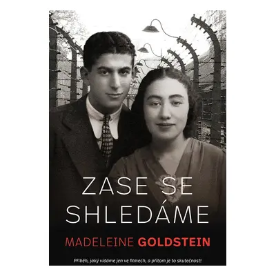 Zase se shledáme - Madeleine Goldstein