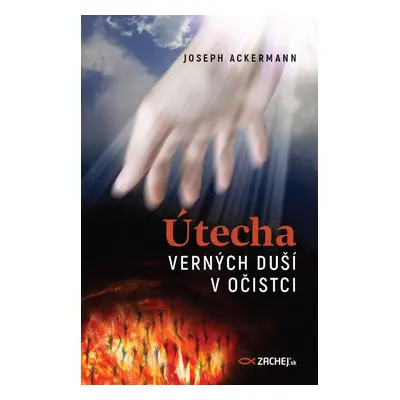 Útecha verných duší v očistci - Joseph Ackermann