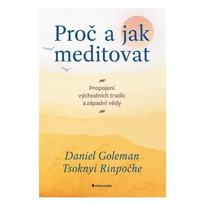 Proč a jak meditovat - Tsoknyi Rinpočhe