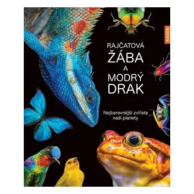 Rajčatová žába a modrý drak - Andrea Köhrsenová