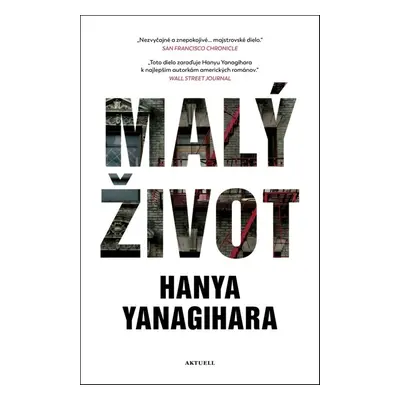 Malý život - Hanya Yanagihara