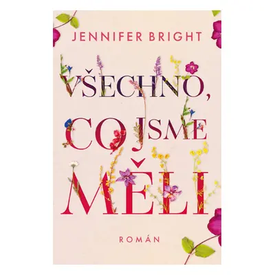 Všechno, co jsme měli - Jennifer Bright