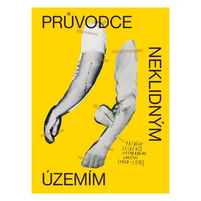 Průvodce neklidným územím - David Böhm