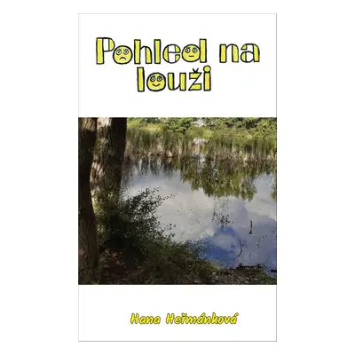 Pohled na louži - Hana Heřmánková