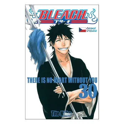 Bleach 30 - Tite Kubo