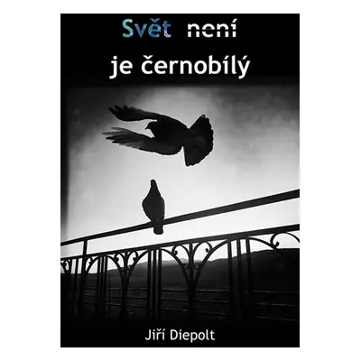 Svět není/je černobílý - Jiří Diepolt