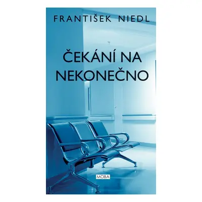 Čekání na nekonečno - František Niedl