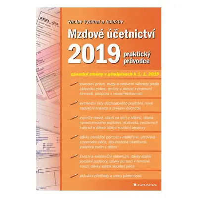 Mzdové účetnictví 2019 - Václav Vybíhal