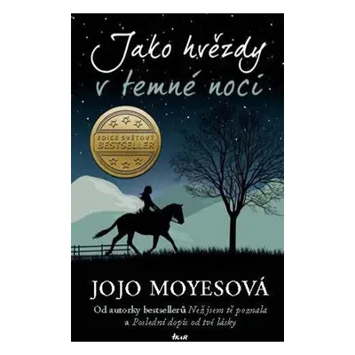 Jako hvězdy v temné noci - Jojo Moyes