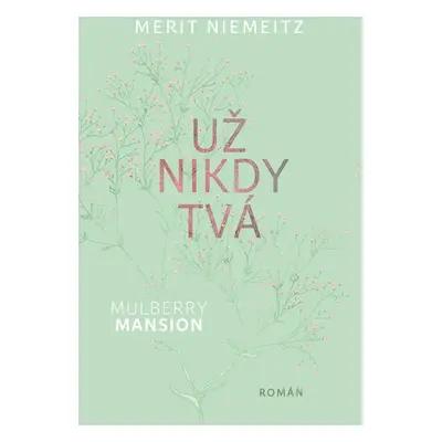 Už nikdy tvá - Merit Niemeitz