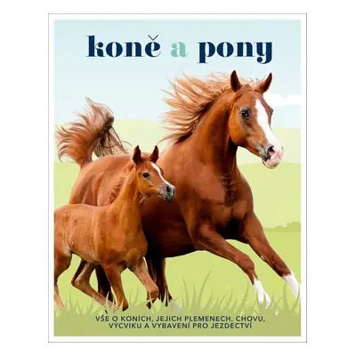 Koně a pony - Tomáš Kapic