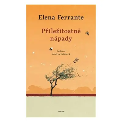 Příležitostné nápady - Elena Ferrante