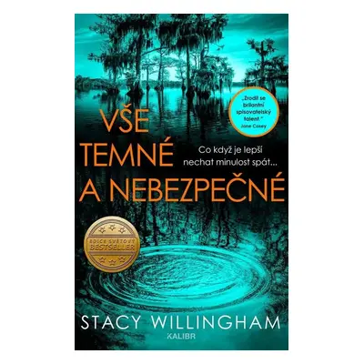 Vše temné a nebezpečné - Stacy Willingham