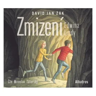 Zmizení Edwina Lindy - David Jan Žák