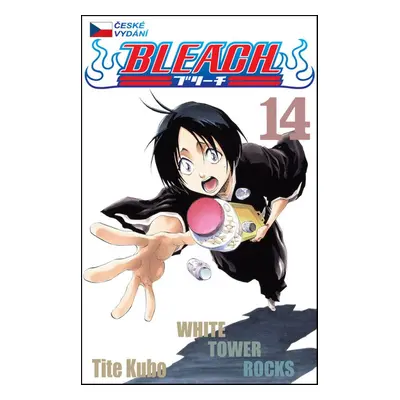 Bleach 14 - Tite Kubo