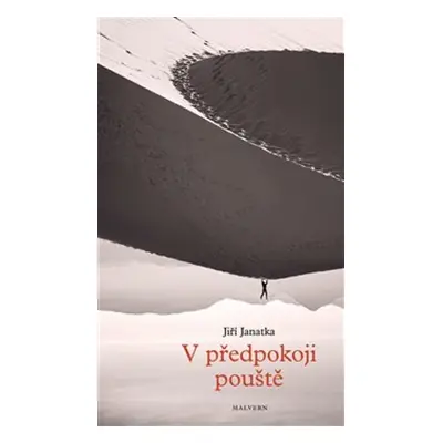 V předpokoji pouště - Jiří Janatka