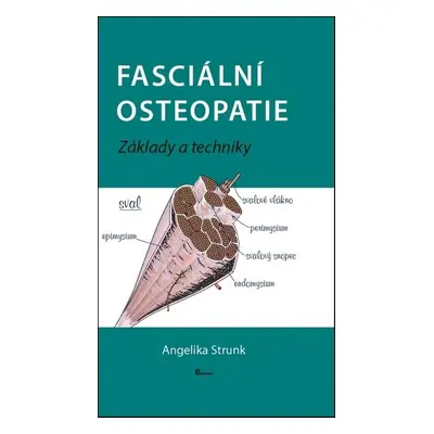 Fasciální osteopatie - Angelika Stunk