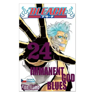 Bleach 24 - Tite Kubo