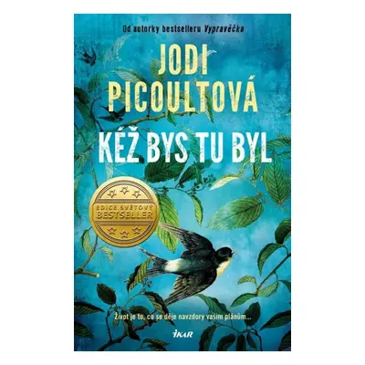 Kéž bys tu byl - Jodi Picoultová