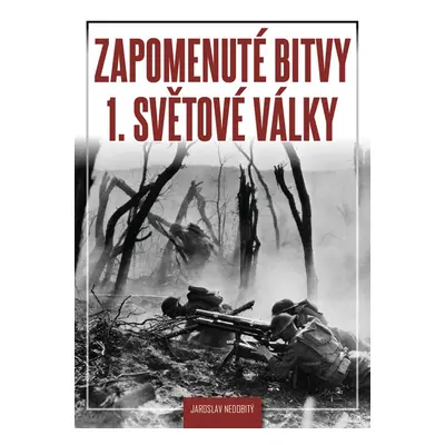 Zapomenuté bitvy 1. světové války - Jaroslav Nedobitý