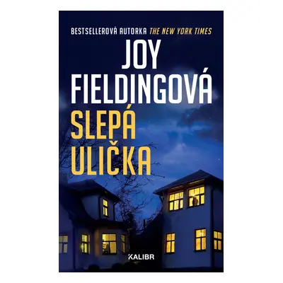 Slepá ulička - Joy Fielding