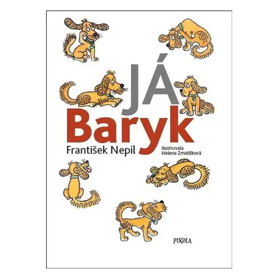 Já Baryk - František Nepil