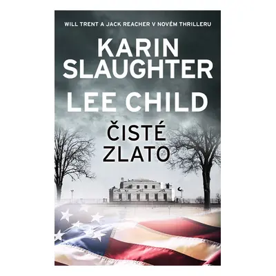 Čisté zlato - Karin Slaughter