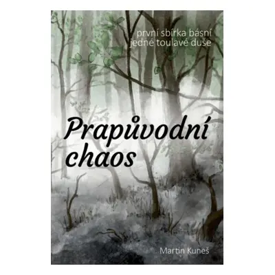 Prapůvodní chaos - Martin Kuneš